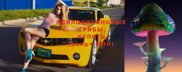 дурь Алексеевка