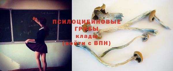 дурь Алексеевка