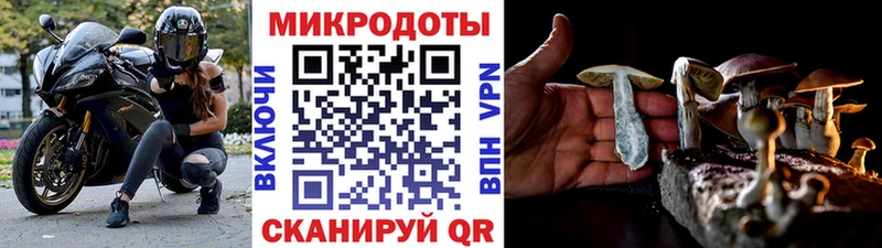 Псилоцибиновые грибы GOLDEN TEACHER  Жиздра 